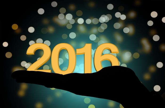 Neujahr 2016: Ein Rückblick und ein Blick in die Zukunft!