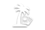 Caribbean s